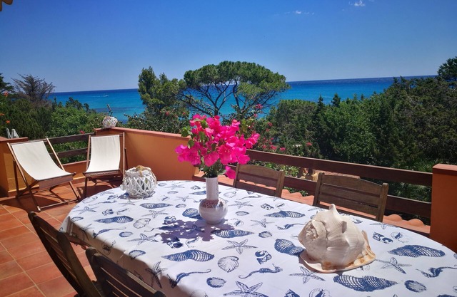 Beachfront house with garden
