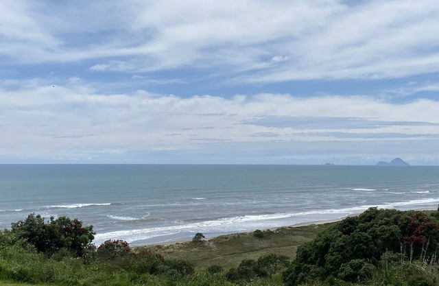 Beachfront Pacific - Rustic Coastal - Guest Suite.