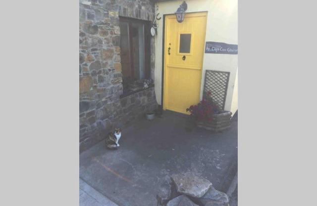 Bear cottage