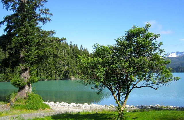 Bear Country Lodge # 2