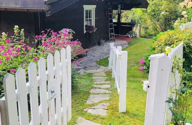 Bear Creek Cottage: Iydillic cabin in the woods perfect for family & fur babies