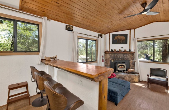 Bear Forest Cabin #2553