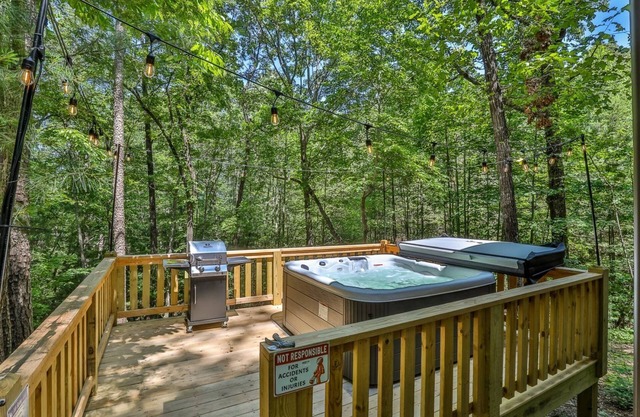 Bear Necessities | Ellijay, GA