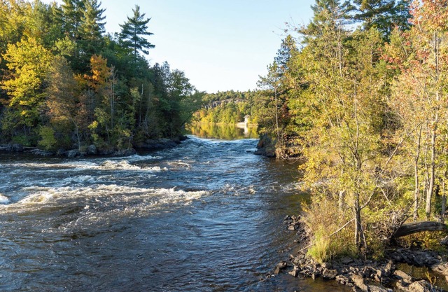 Bear Point Hideout on Menominee River