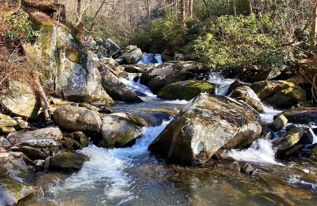 Bear's Mountaintop View / Lake Santeetlah / Smokey Mountains