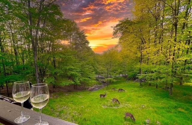 Bearfoot on Beech Mtn Updated Cabin/Amazing Deck & Views/Club Sports Membership
