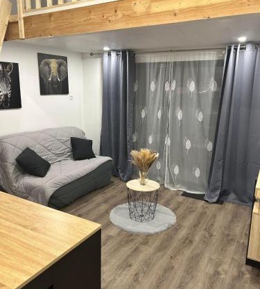Beau petit studio avec terrasse et 2 couchages