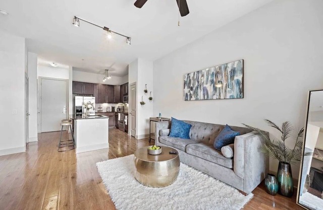 Beautiful 1br medical Center Nrg Stadium