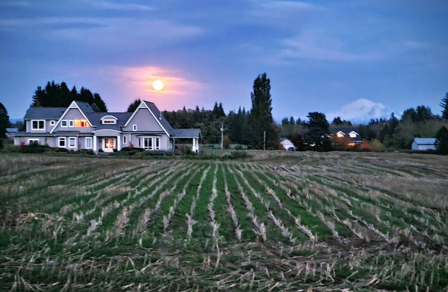 Charming 4-bedroom home with WiFi, AC and Mt. Baker views
