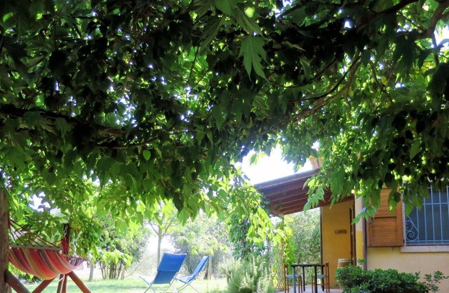 Bonito apartamento en villa con piscina, WIFI, TV, terraza, mascotas permitida y aparcamiento