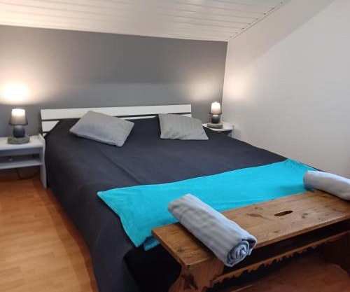 Beautiful apartment duplex in a chalet with garden for 6 in Morillon