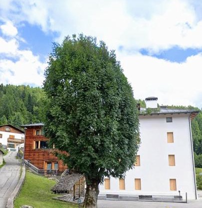 Beautiful apartment in Zoldo Alto Dolomites