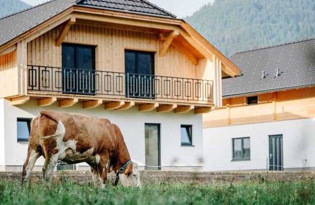 Beautiful Wooden Chalet in Rattendorf With Garden