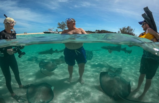 Hermosas Bahamas - paraíso pintoresco!