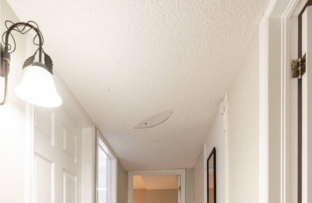 Beautiful basement apt close to Victoria Hospital