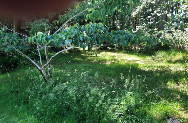 Beautiful Cabin close to trails for biking/ hiking several beautiful beaches.