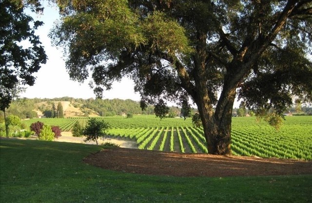 Coop es nuestra cabaña totalmente renovada y hermosa de Vineyard 1. A 5 millas del centro