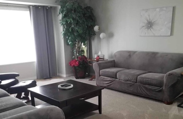 Beautiful Executive Suite