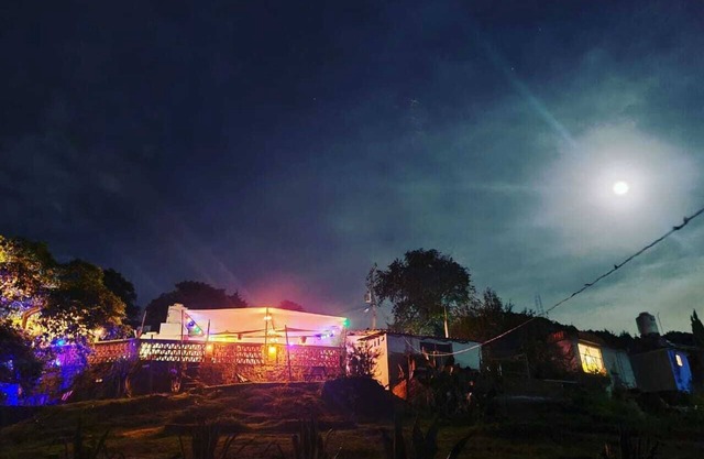 hermoso glamping en medio del bosque con cama matrimonial
