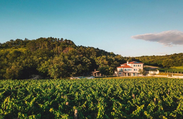 Beautiful home in Buje