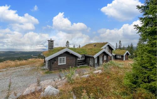 Beautiful Home In Lillehammer With House A Mountain View