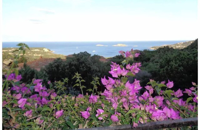 Hermosa Casa con Vistas Espectaculares del Golfo de Pevero