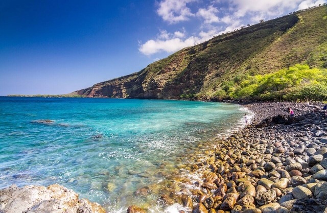 Hermosa vista al mar casa con piscina privada y jardín tropical en la bahía de Kealakekua