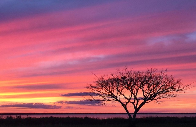 Hermosa casa de vacaciones frente al lago en uno de los diez mejores lagos bajos de Florida !!!!