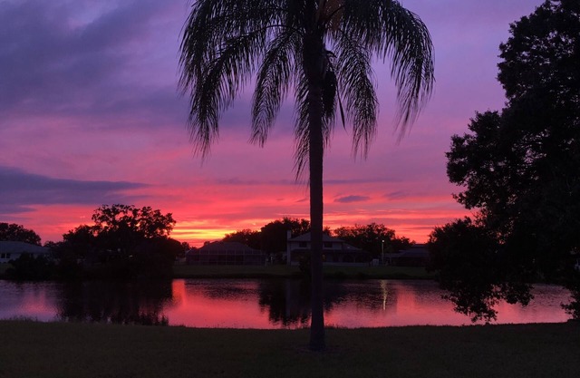 Beautiful Lake Front Condo