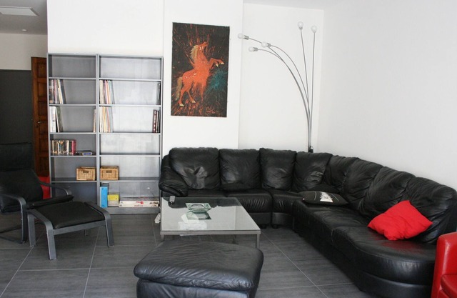 Hermoso apartamento tipo loft en el centro de Perpiñán