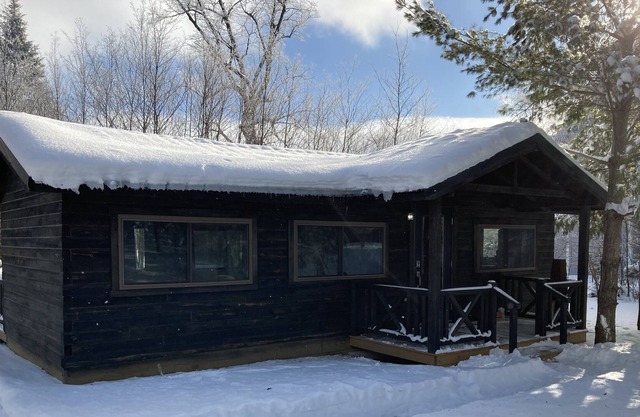 Beautiful Log Cabin in Wooded lot on Little Toad Lake