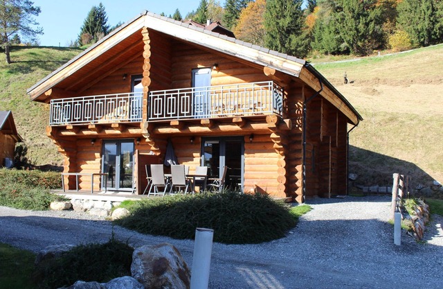 Beautiful log house near top ski resort