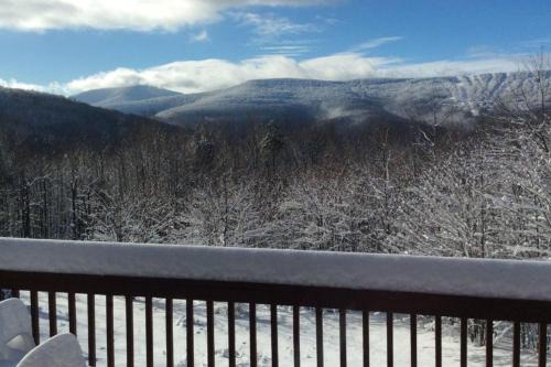 Beautiful Log Ski Cabin Belleayre Mtn Views