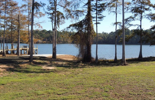 Beautiful Oasis only steps away from the lake