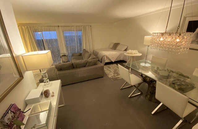 Beautiful Ocean Breeze Santa Monica Apartment