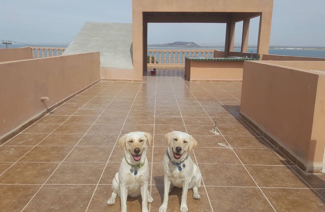 Pickleball by the Ocean, hermosas vistas al mar