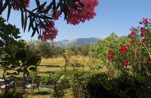 ¡Ven a alojarte en tu propio apartamento privado en una hermosa y antigua granja de piedra en Abruzos!