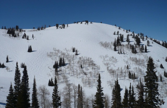 Hermosa Powder Ridge Resort (esquí en / esquí fuera) Mejor precio En Utah!