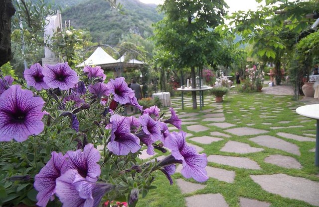 Amplia habitación cuádruple rodeada de vegetación cerca de Montecassino