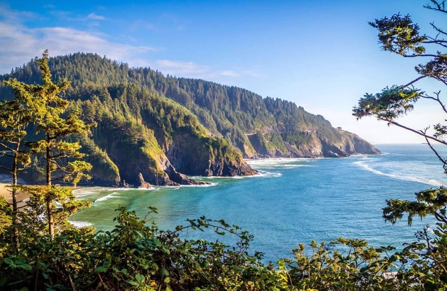 Beautiful RiverFront Home on the Umpqua River W/Private Dock & World Class Fishing
