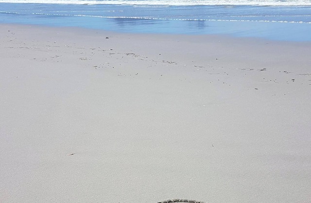 Beautiful Ruakaka beach fun, lots of space, 2 lounges, big garden