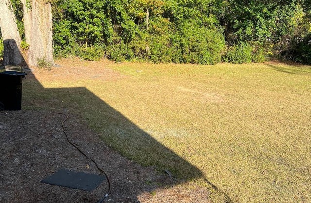 Beautiful Secluded 3Br/2 Home