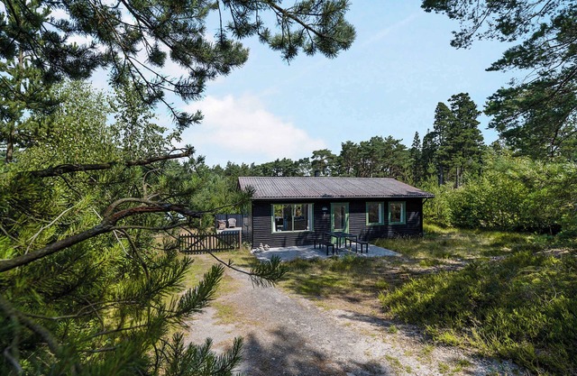 Beautiful summer house near forest and beach