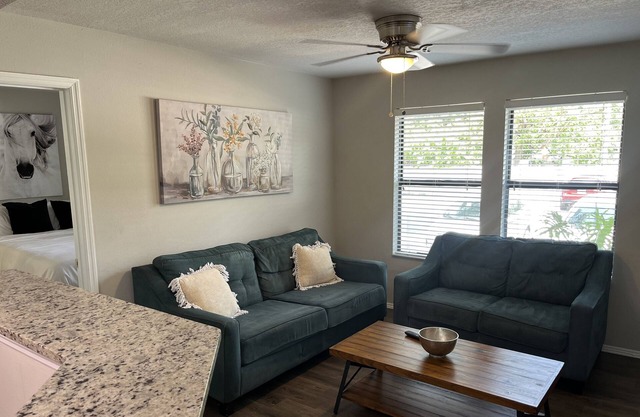 Beautiful Tampa Oasis