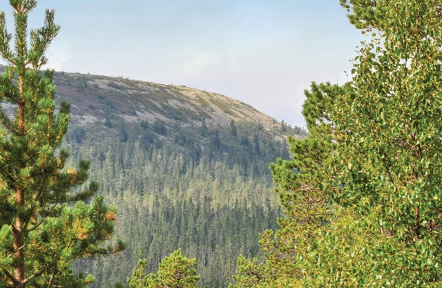 Alojamiento de 2 habitaciones en Sälen