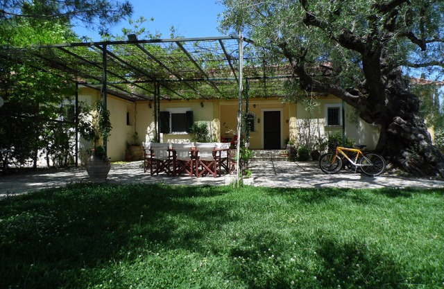 Hermosa villa en un olivar de 11 acres