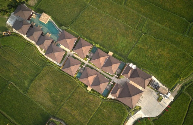 Hermosa villa con piscina privada con vistas al campo de arroz