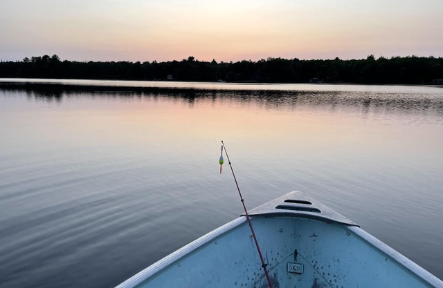Beautiful Wooded Lakefront Property with 5 bedrooms and 3 full baths!