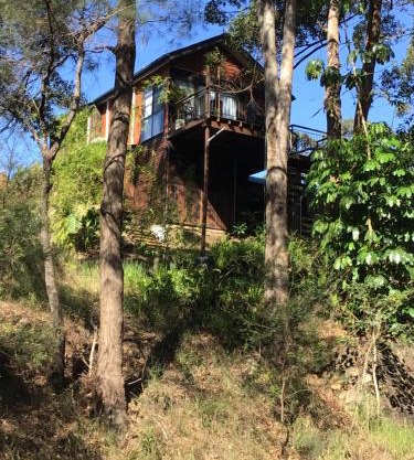 Beautifully Elevated Treehouse Apartment