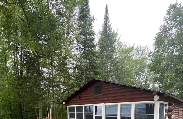 Beautifully remodeled log cabin on Douglas Lake